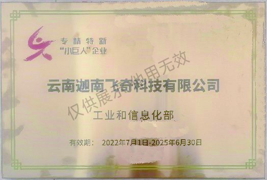 國家級專精特新“小巨人”企業(yè)